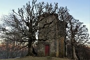 84  Architettura di piante al 'Rocol di Spadi'
